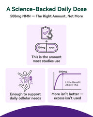USA-made Inner Brightness NMN supplement signaling trusted quality.