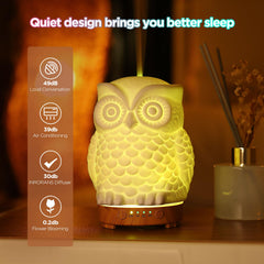Inrorans Diffuser auto shut-off when waterless ensures safe operation.