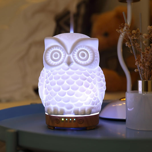 Inrorans Owl Ceramic Diffuser in porcelain white enhances room fragrance with gentle mist.
