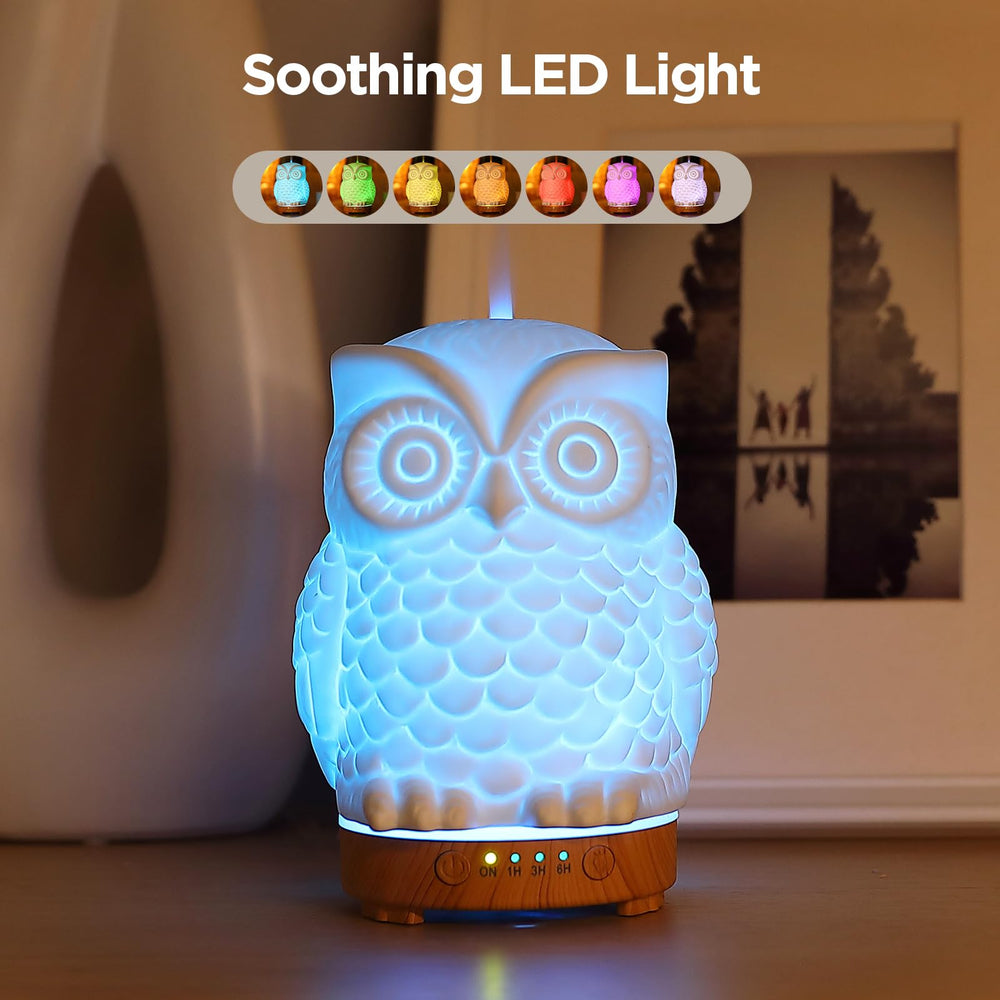 Inrorans Owl Ceramic Diffuser LED night light provides relaxing color cycles.