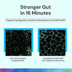 ION* Gut Support Liquid drops dispensing for quick application