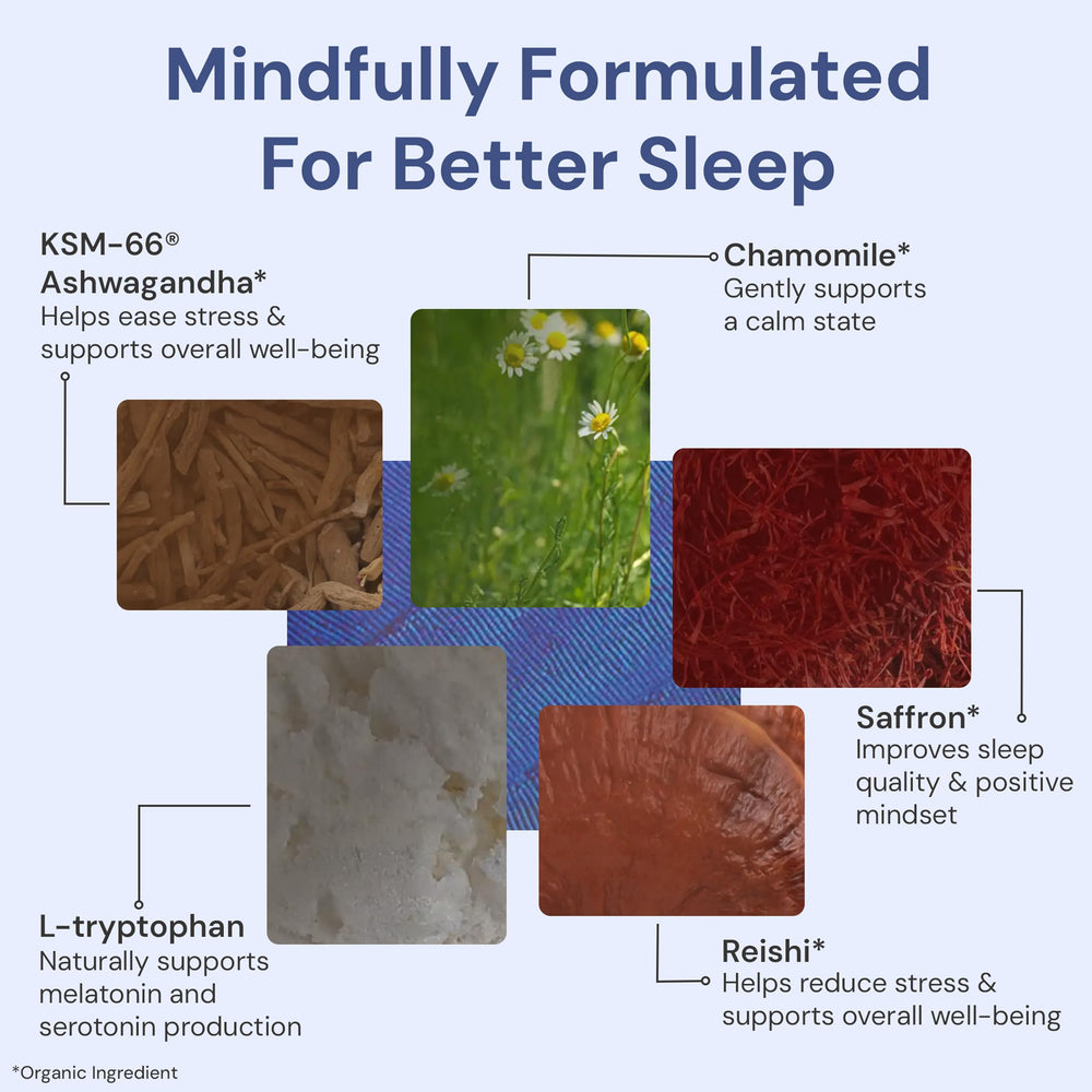 ION Restful Sleep reishi mushroom packets supporting restorative rest