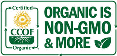 Island Nutrition oregano oil bottle resting on a kitchen counter for everyday use.