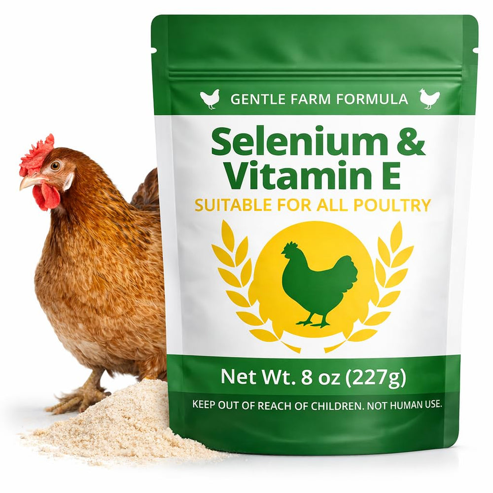 IVULTRA selenium vitamin E powder for chickens — clear bottle label highlights immune support.