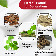 Quality seal highlighting tested purity and potency.