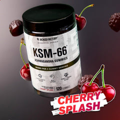 Jacked Factory Ashwagandha Gummies Cherry Splash flavor on bright background.