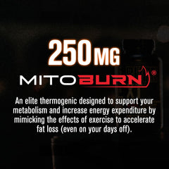 Burn-XT Max capsules close-up for precise dosing and energy support