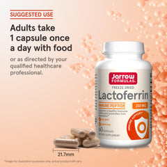 Ingredient panel on Jarrow Formulas Lactoferrin showing freeze-dried process.
