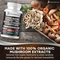 JB Wellness Co organic mushroom extract bottle pure fruiting bodies