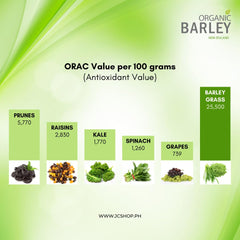 JC Barley Grass Juice Powder with natural stevia sweetness for smoothies