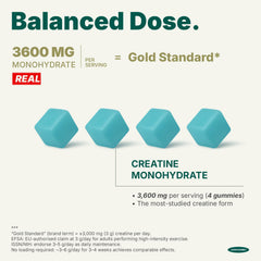 JOHN RAMBO Creatine Gummies endurance focus signals steady energy