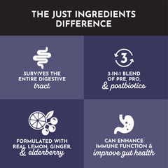 JUST INGREDIENTS Elderberry Lemonade ingredients arranged to highlight real fruit extracts and clean flavor.