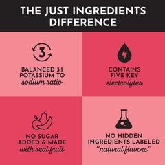JUST INGREDIENTS Fruit Punch glass serve captures bold flavor and refreshing finish.