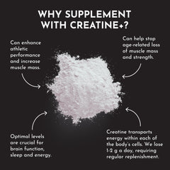 Just Ingredients rejen fulvic mineral complex label spotlights clean ingredients for daily use.