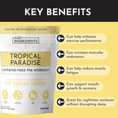 JUST INGREDIENTS Tropical Paradise serving-scoop demonstrates precise dosing for balanced energy.