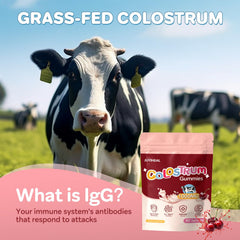 JUYIHEAL Colostrum Gummies chewy texture close-up suggests easy consumption.