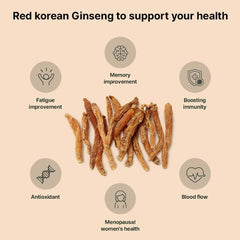 K-Herb premium Korean Red Ginseng sticks in water dissolve quickly for a refreshing drink.