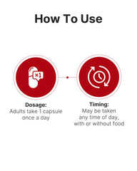 K-NUTRA Daily Synbiotic+ travel-friendly bottle for on-the-go routine.