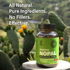 Kabooya GlucoVantage dihydroberberine capsules highlighting absorption