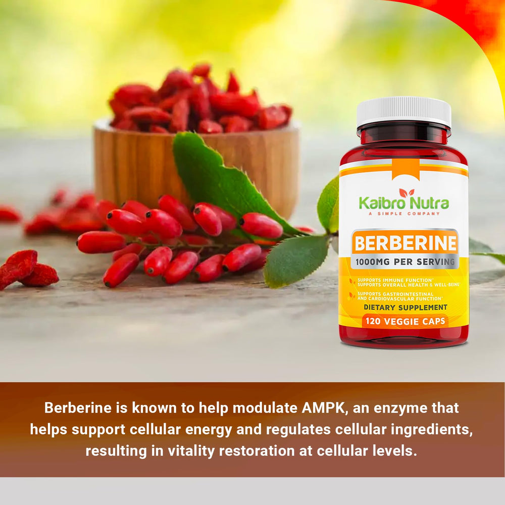 Kaibro Nutra Berberine glass bottle view indicating premium quality.