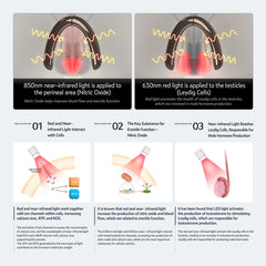 KAISAR 850nm near-infrared light targeting testicles for discreet sessions.