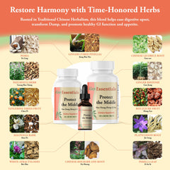Kan Herbs Protect The Middle serving with pets to support appetite and digestion