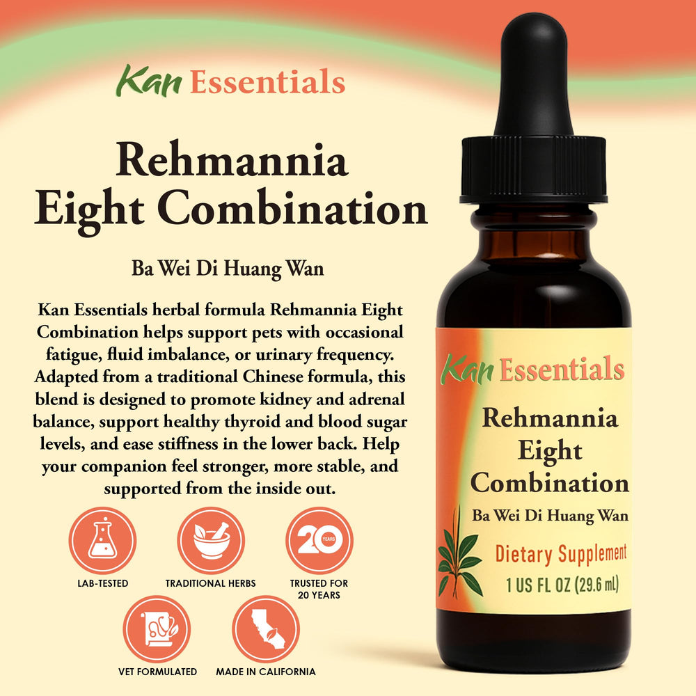 Kan Herb Rehmannia Eight dropper liquid for pet vitality and daily care