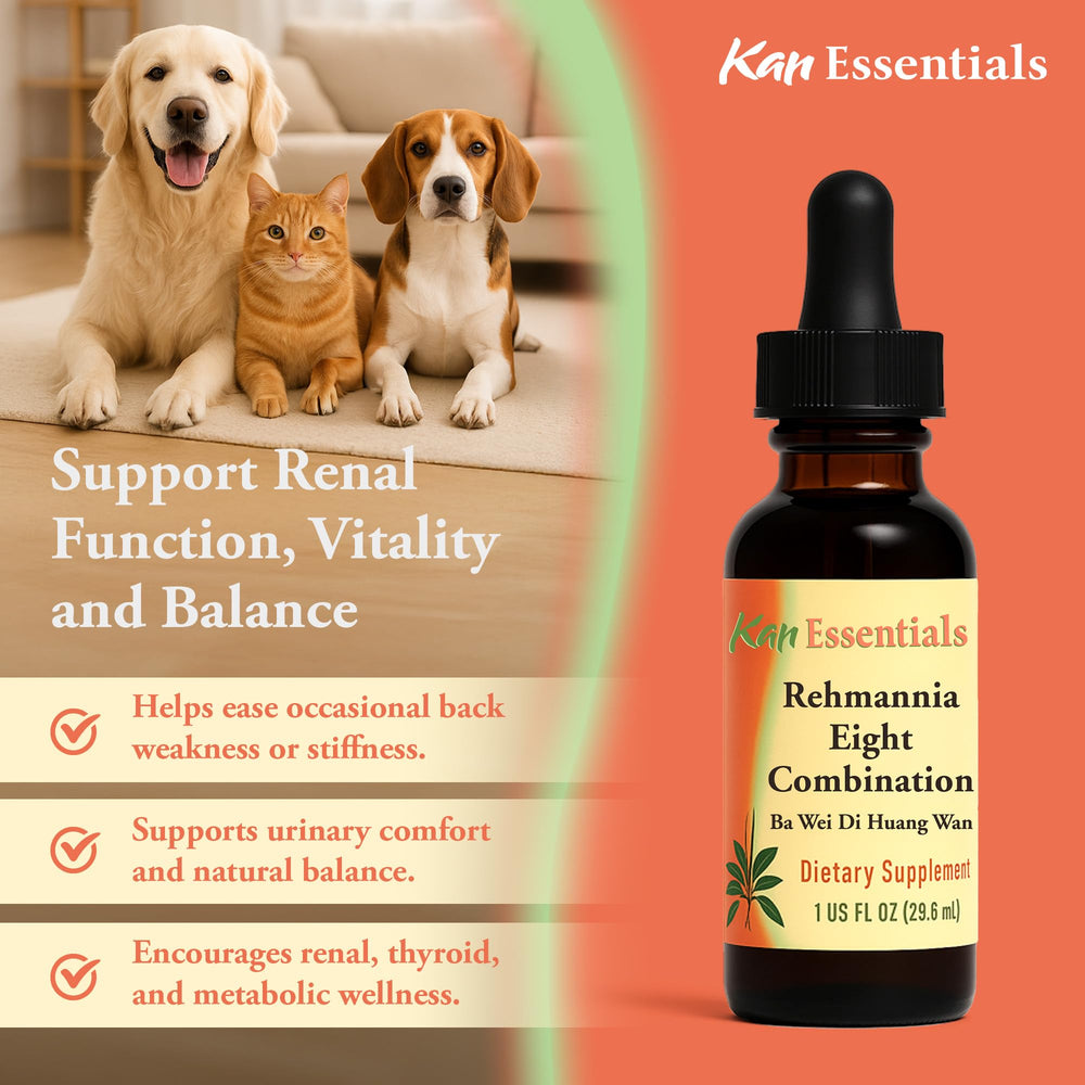 Kan Herb Rehmannia Eight bottle beside a resting dog for wellness