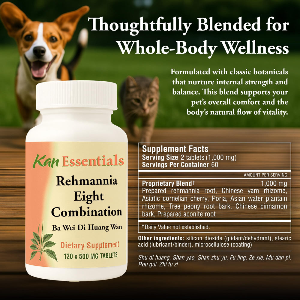 Tablets from Kan Herb Rehmannia Eight arranged for daily use.