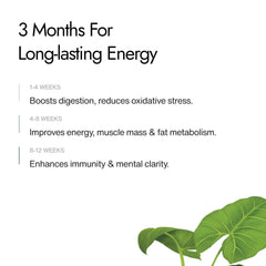Kapiva Shilajit resin two-month supply label communicates value.