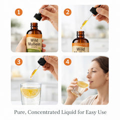 KBKTWOLT Dark glass bottle packaging protects delicate botanicals for consistent potency.