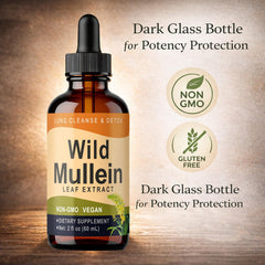 KBKTWOLT Wild Mullein Leaves extract closeup signals pure botanical essence for plant-powered support.
