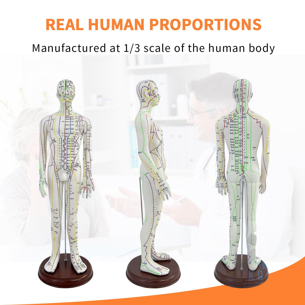 KDJFS realistic 21-inch proportions aid accurate point practice