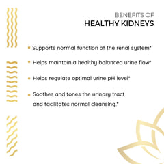Kerala Ayurveda dosage reminder image showing two capsules twice daily.