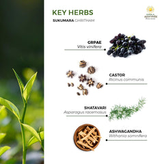 Kerala Ayurveda Sukumaram Ghritham texture melting at warmth for easy mixing.