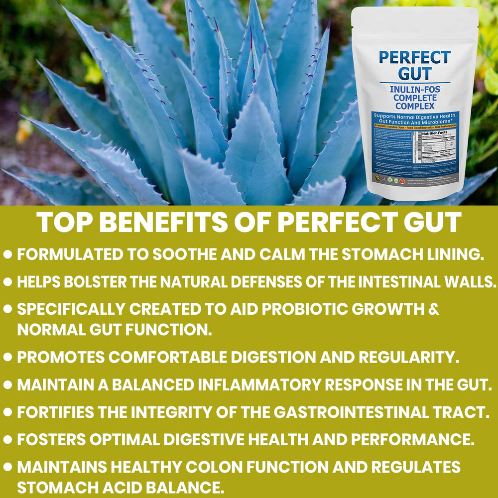 Kidney Restore Perfect Gut powder dissolves easily in water for quick beverage mix.
