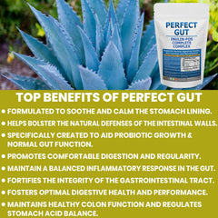 Kidney Restore Perfect Gut powder dissolves easily in water for quick beverage mix.