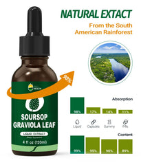 KingHealth Organic Soursop Leaf extract bottle on clean label