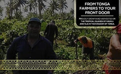 Fine-ground kava with earthy, approachable taste noted by tasters