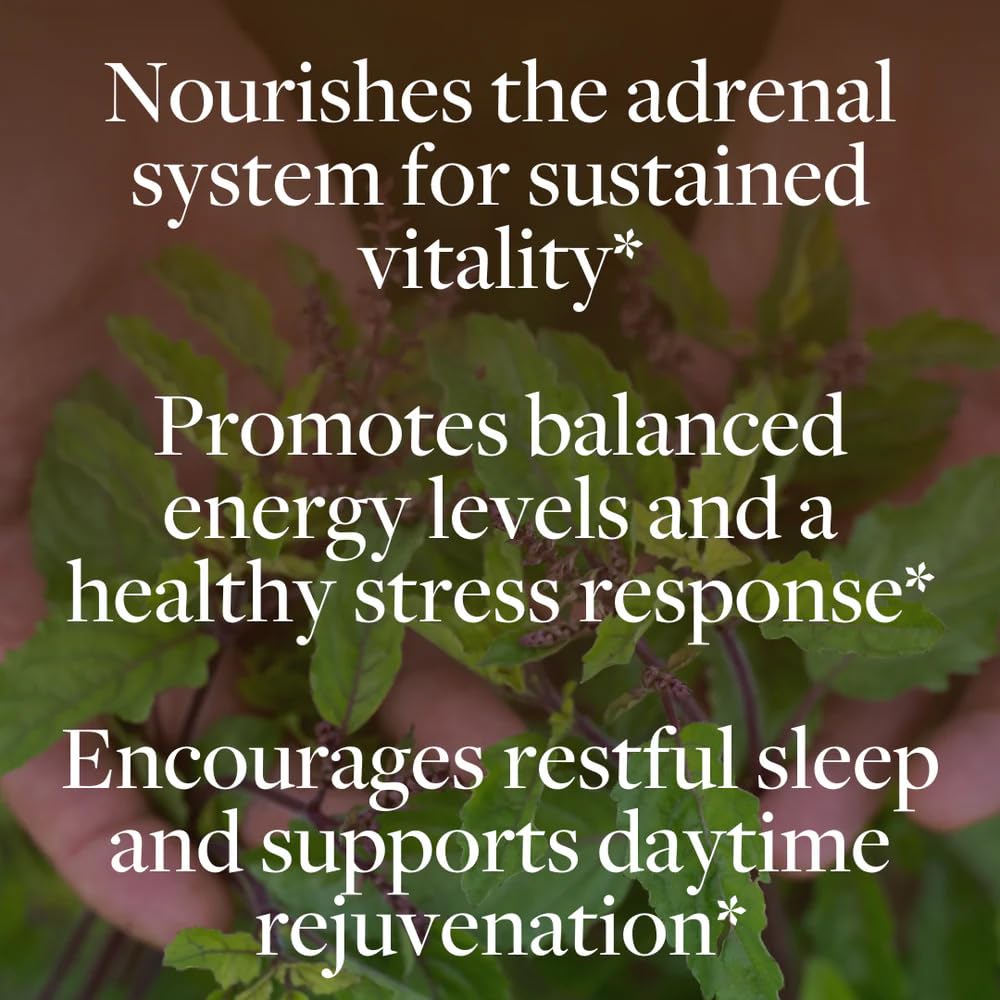Kokora Regenerative Adrenal Support rhodiola-schisandra close-up showing herbal blend for balanced energy