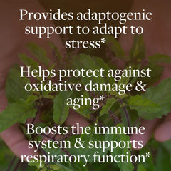 Kokora regenerative organic farm Costa Rica showcasing sustainable sourcing