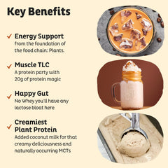 KOS pea protein blend ingredients bowl displays clean label and plant-based protein