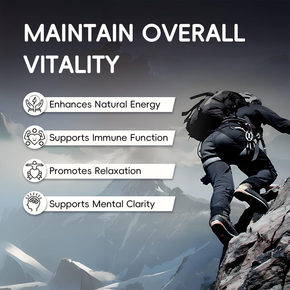 KOVGOCY Alpha Gummies for Men offer gentle daily support.