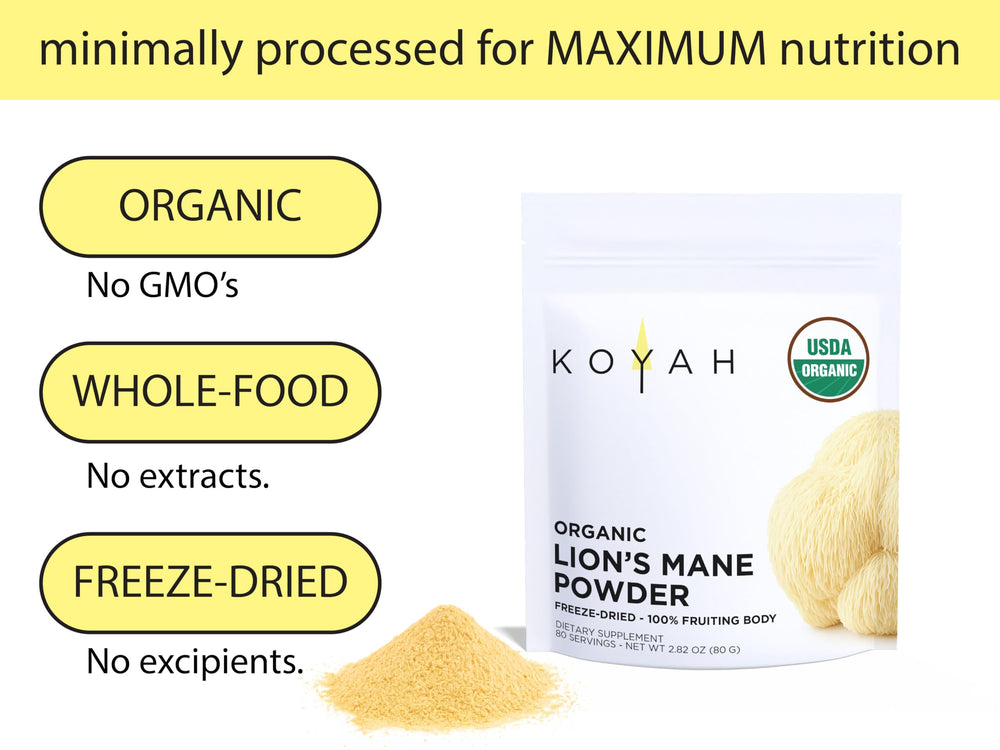 KOYAH Lion's Mane powder texture closeup; freeze-dried nutrients preserved