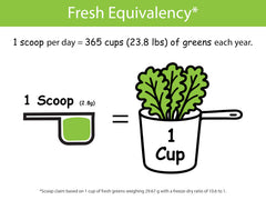 KOYAH Organic Greens Blend ingredients label highlights kale, spinach, broccoli, celery