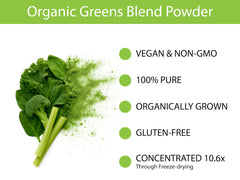 KOYAH Organic Greens Blend pouch provides convenient organic greens in a compact package