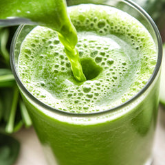 Kuli Kuli Moringa powder in tea brew for flavor