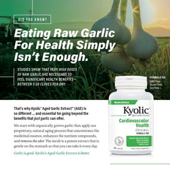 Kyolic Formula 300 vegan labeling highlights dairy free and non GMO features.