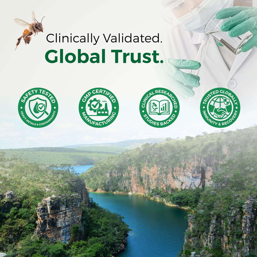 LABO Nutrition Brazilian Green Propolis packaging conveys quality and potency.