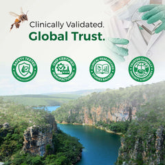 LABO Nutrition Brazilian Green Propolis packaging conveys quality and potency.